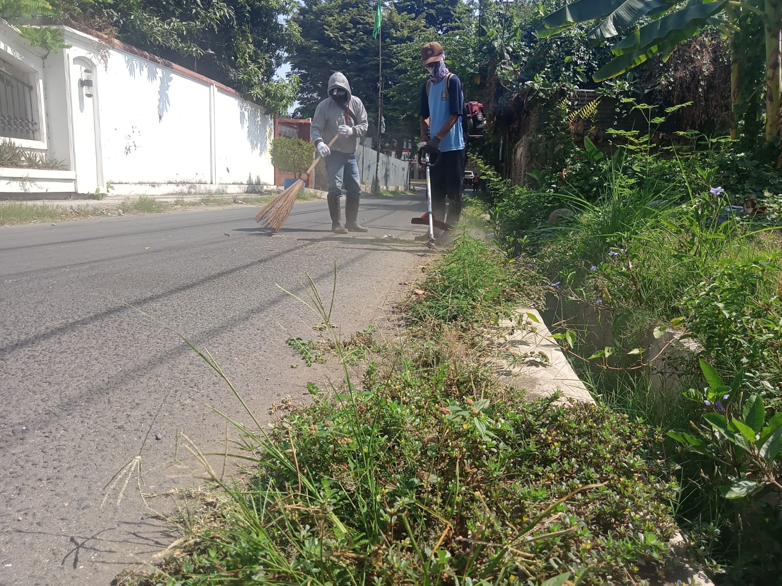 BABAT RUMPUT DI JALAN SETIA BAKTI