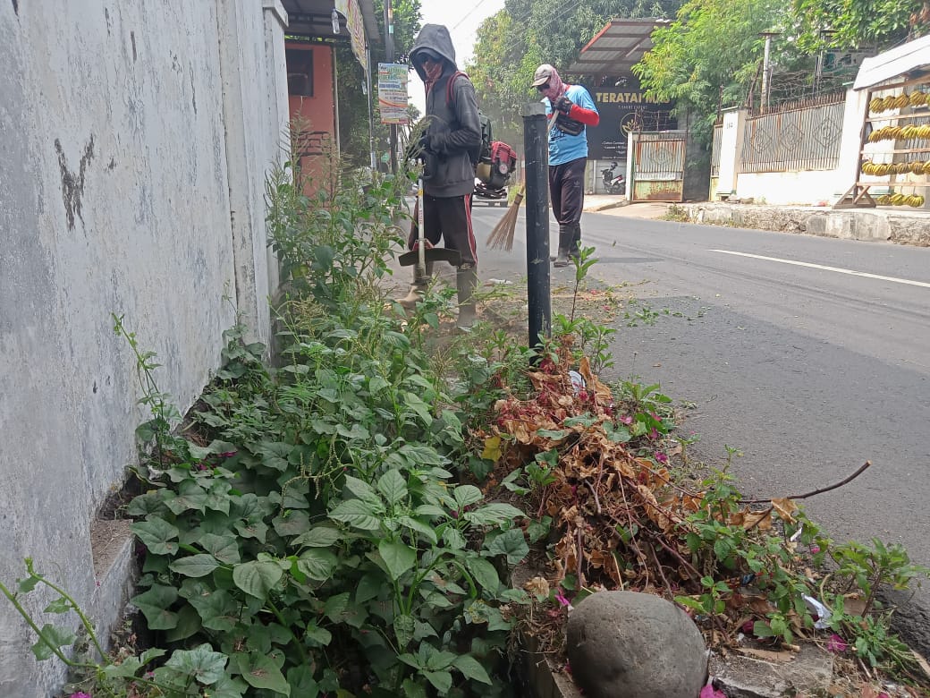 BABAT RUMPUT DI JALAN DARMA BAKTI