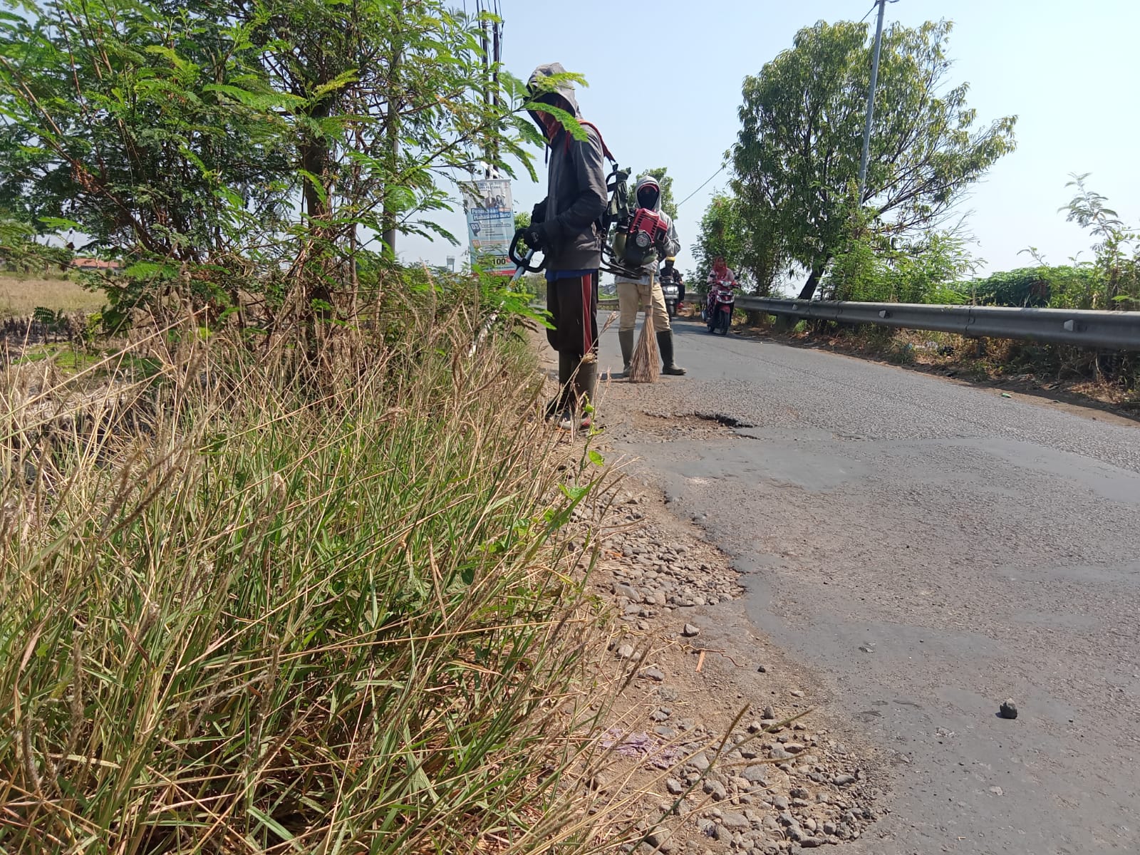 BABAT RUMPUT DI JALAN M. CHAERON